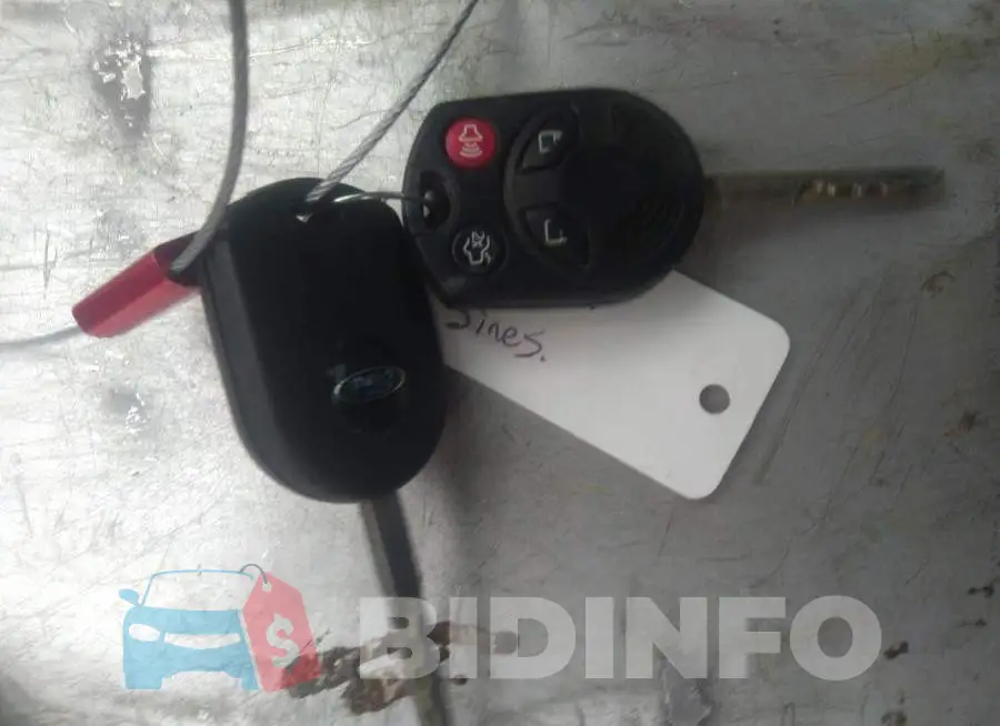1FADP3F24GL392843 Photo# 11