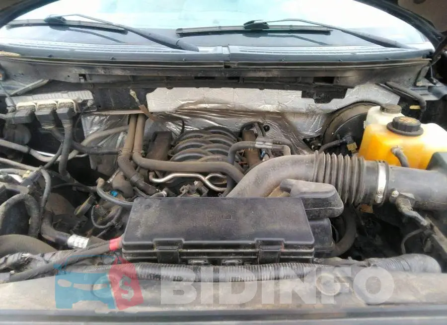 1FTFX1CF2DFD23027 Photo# 10