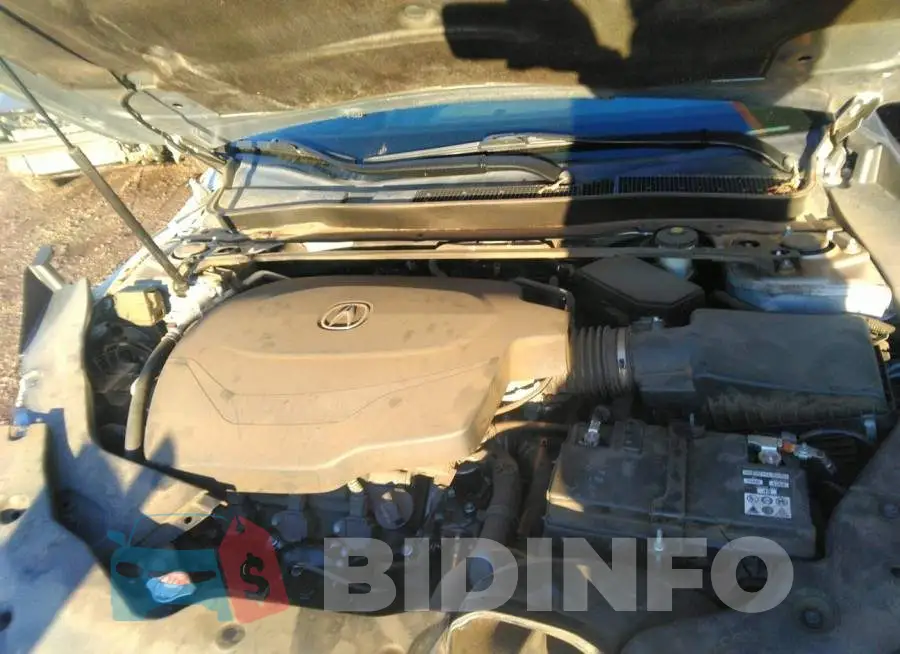 19UUB2F58GA007309 Photo# 10