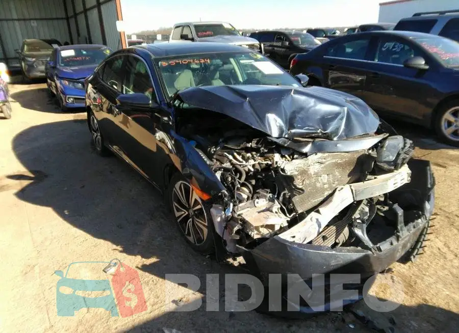 19XFC1F31GE218054 Photo# 1