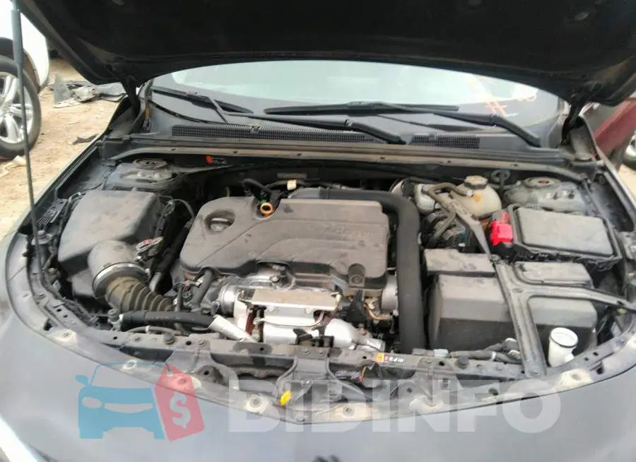1G1ZD5ST1KF215427 Photo# 10