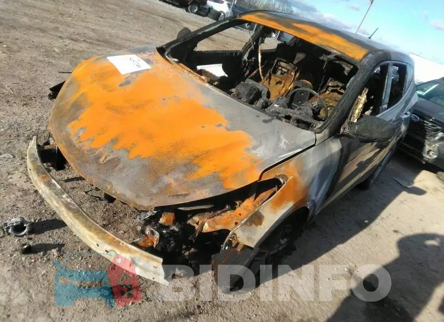 5NMZTDLBXJH103074 Photo# 2