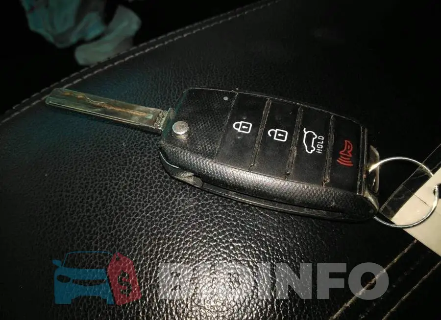 KNDPM3ACXH7208113 Photo# 11