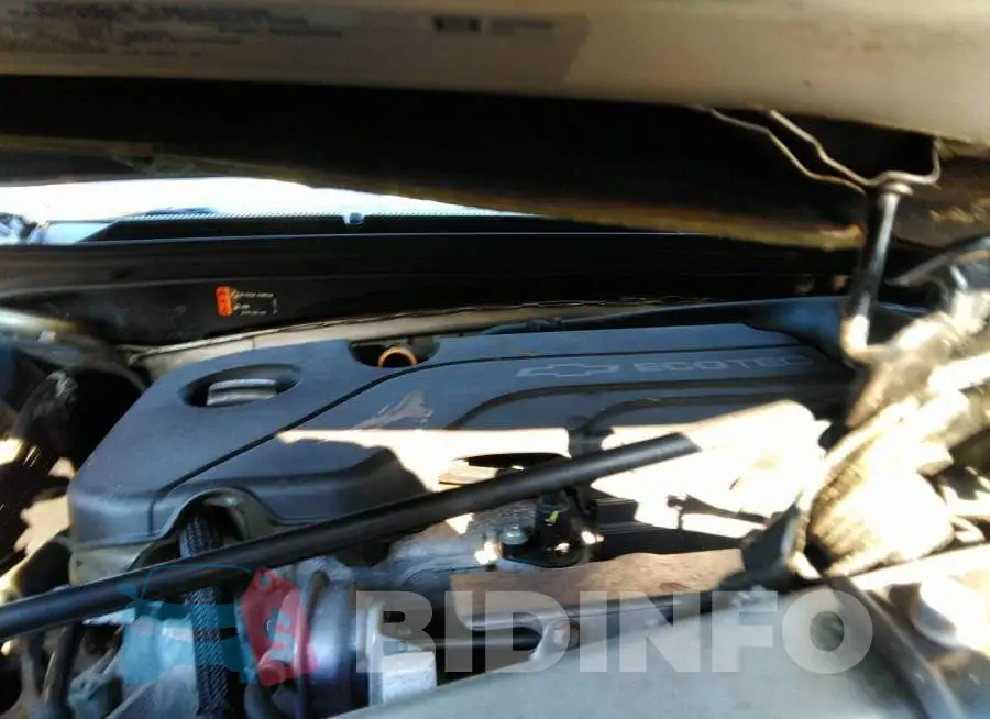 1G1ZE5ST5HF176671 Photo# 10