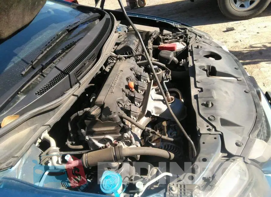 19XFB2F91FE006024 Photo# 10