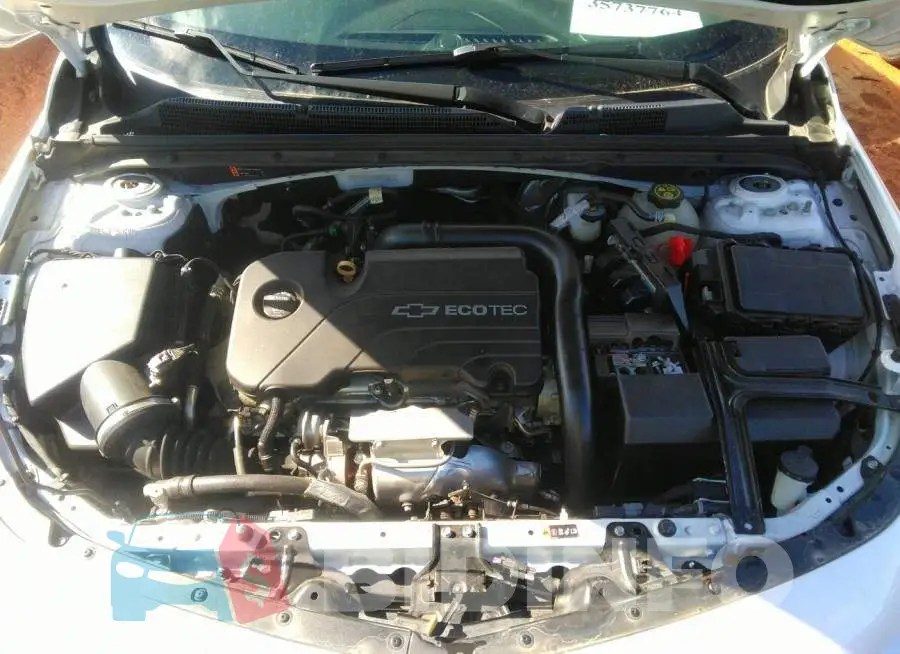 1G1ZD5ST0JF123627 Photo# 10