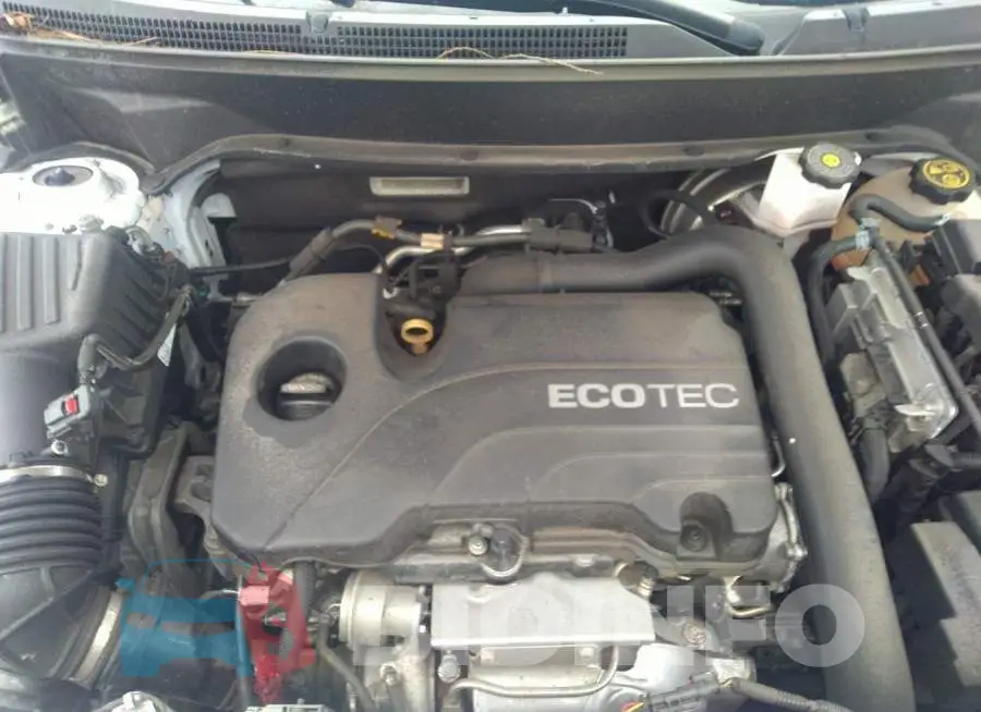2GNAXTEV2L6170305 Photo# 10