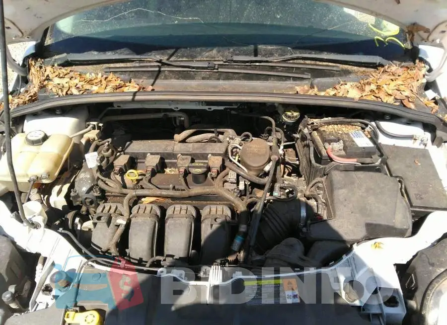 1FADP3F27DL111663 Photo# 10