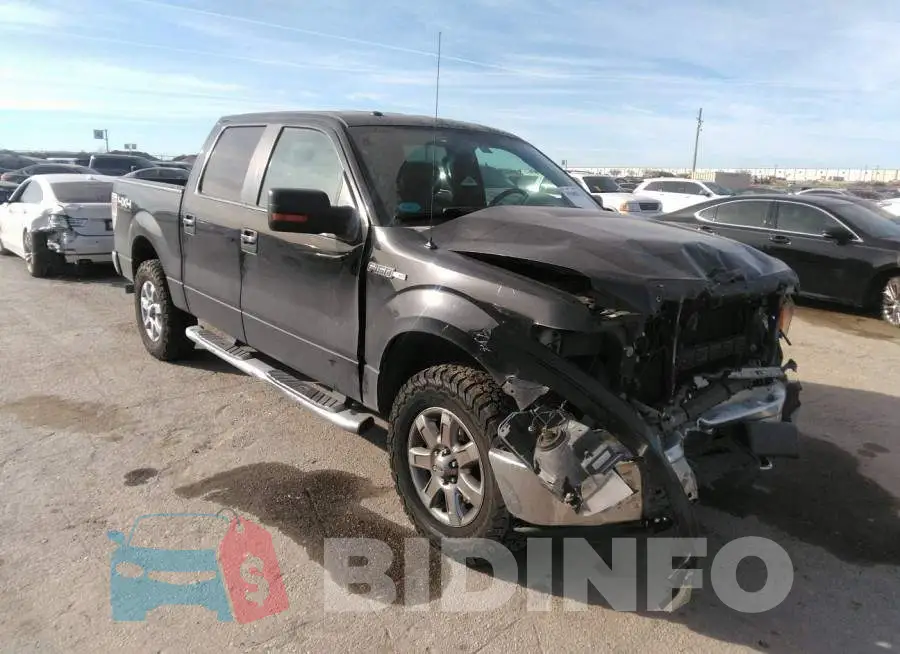 1FTFW1EF3DFD07323 Photo# 1