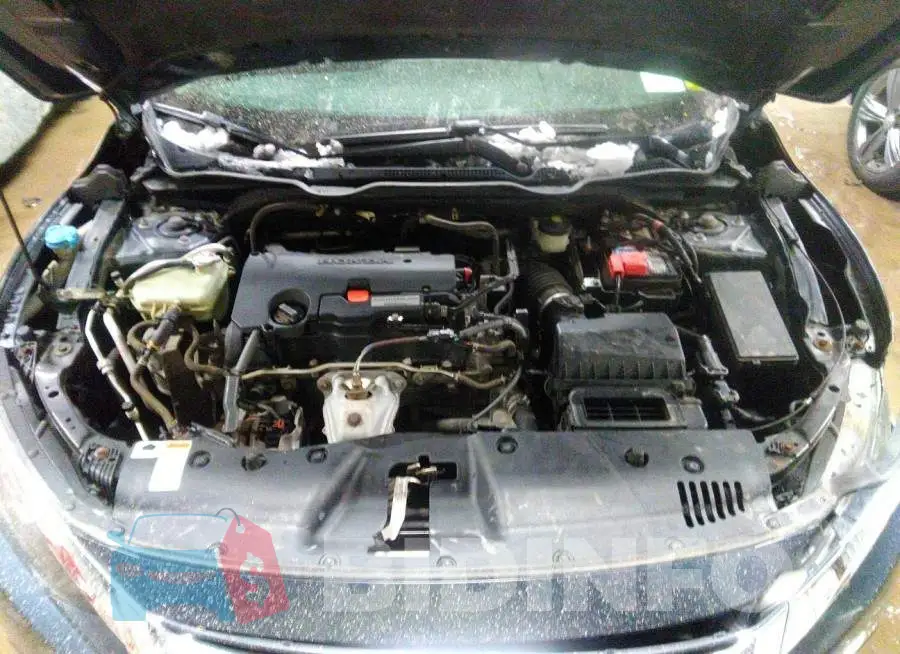 19XFC2F55HE217837 Photo# 10