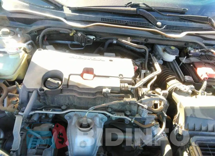 19XFC2F87KE036725 Photo# 10