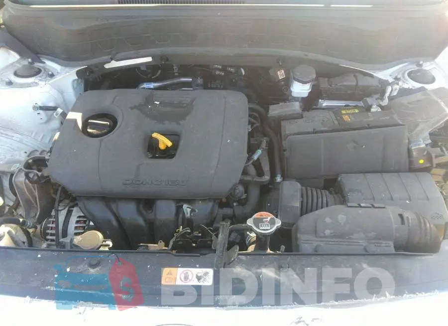 KNDEU2AA1M7140522 Photo# 10