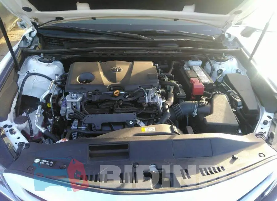 4T1M11AK2LU968176 Photo# 10