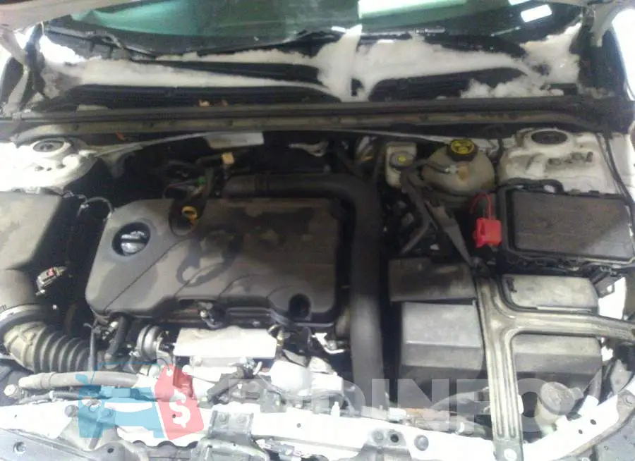 1G1ZD5ST8JF204827 Photo# 10