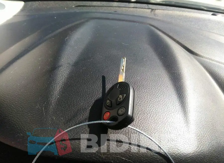 1FADP3F21FL206206 Photo# 11