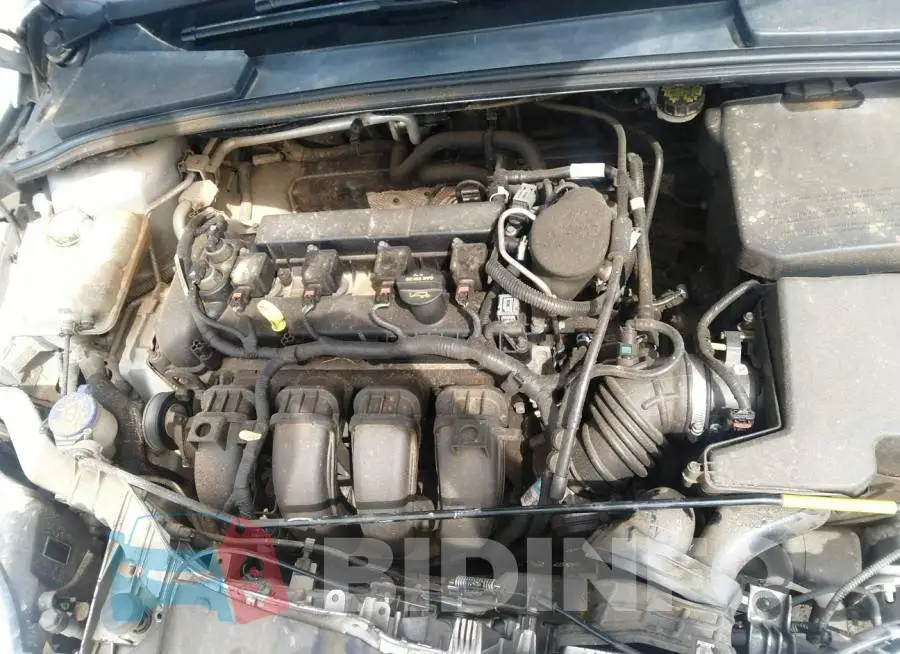 1FADP3F26DL325639 Photo# 10