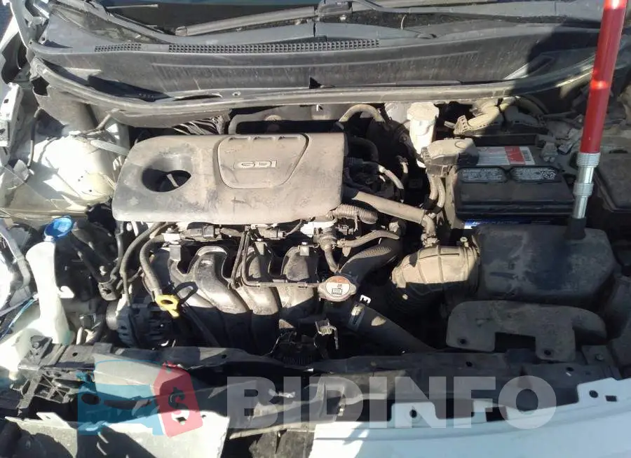 KNADM5A33G6676295 Photo# 10
