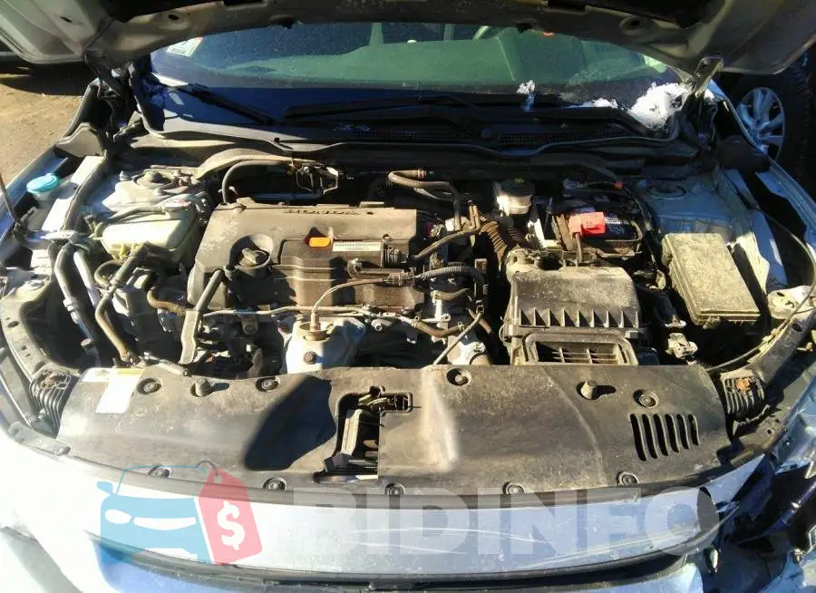 19XFC2F52HE218086 Photo# 10