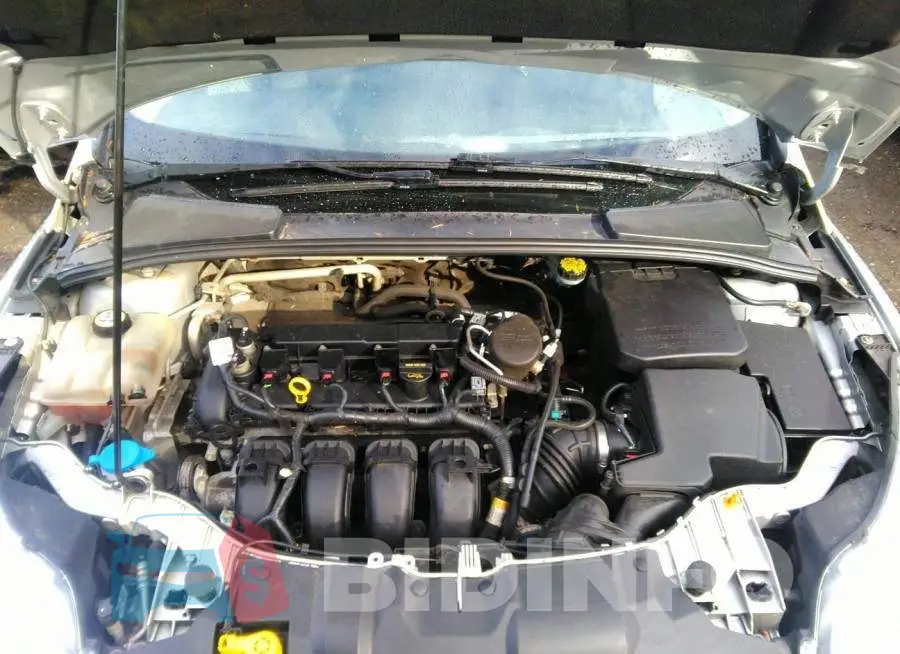 1FADP3E25DL124607 Photo# 10