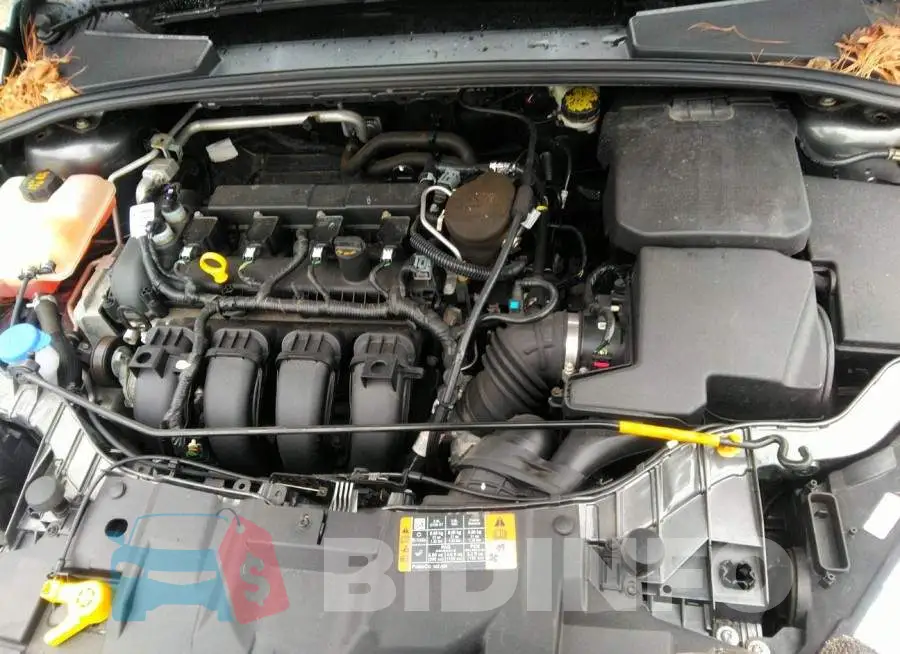 1FADP3F22GL221749 Photo# 10