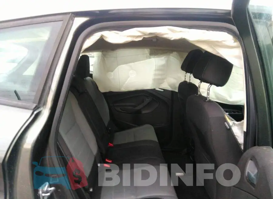 1FADP5AU0GL114218 Photo# 8