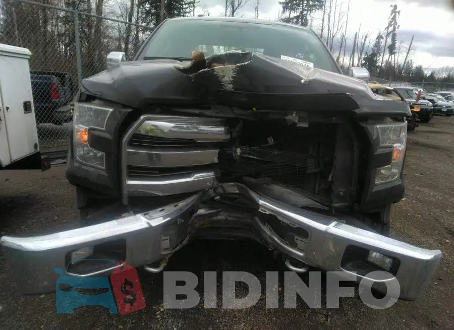 1FTFW1EG7FKD16495 Photo# 6