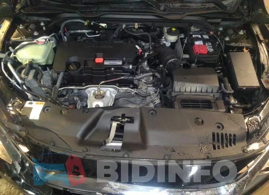 19XFC2F56GE226481 Photo# 10