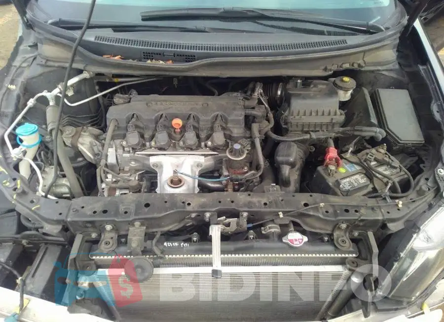 19XFB2F5XEE214317 Photo# 10