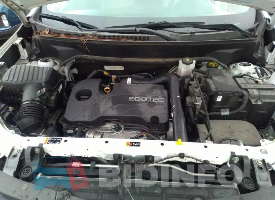 2GNAXKEV7L6191239 Photo# 10