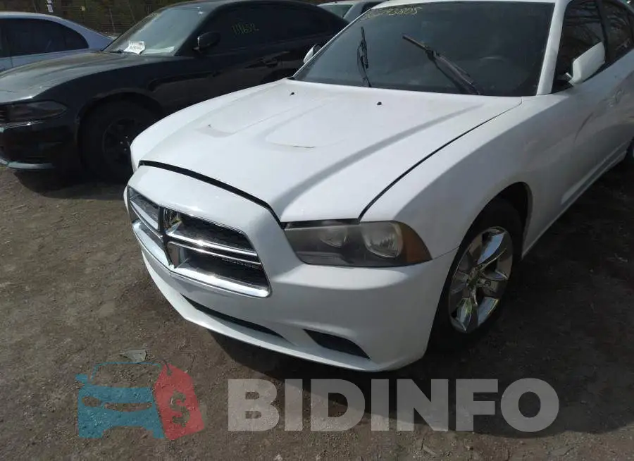 2C3CDXBGXDH718116 Photo# 6