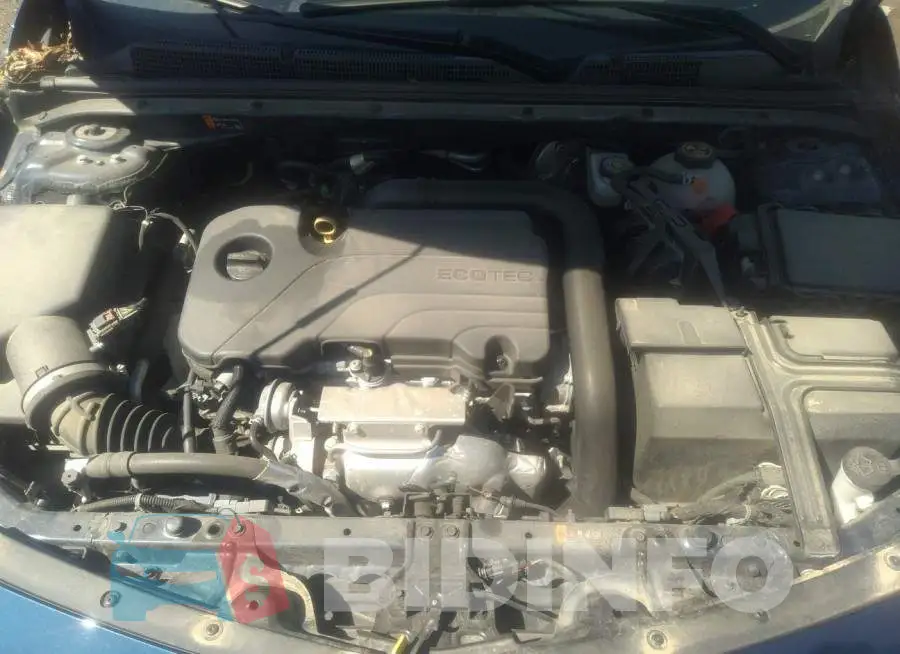 1G1ZD5ST3MF012171 Photo# 10