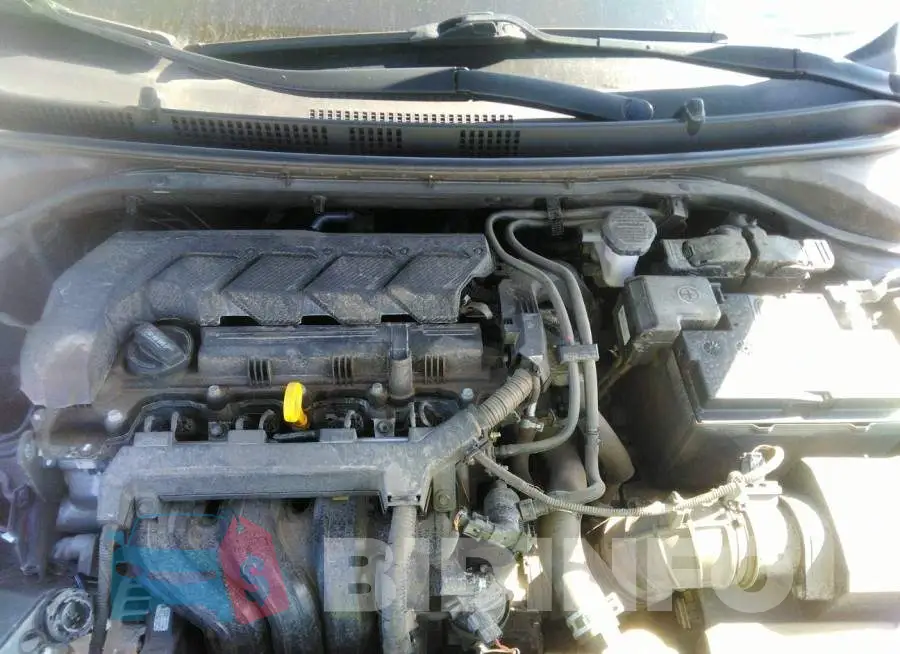 3KPC24A68LE125454 Photo# 10