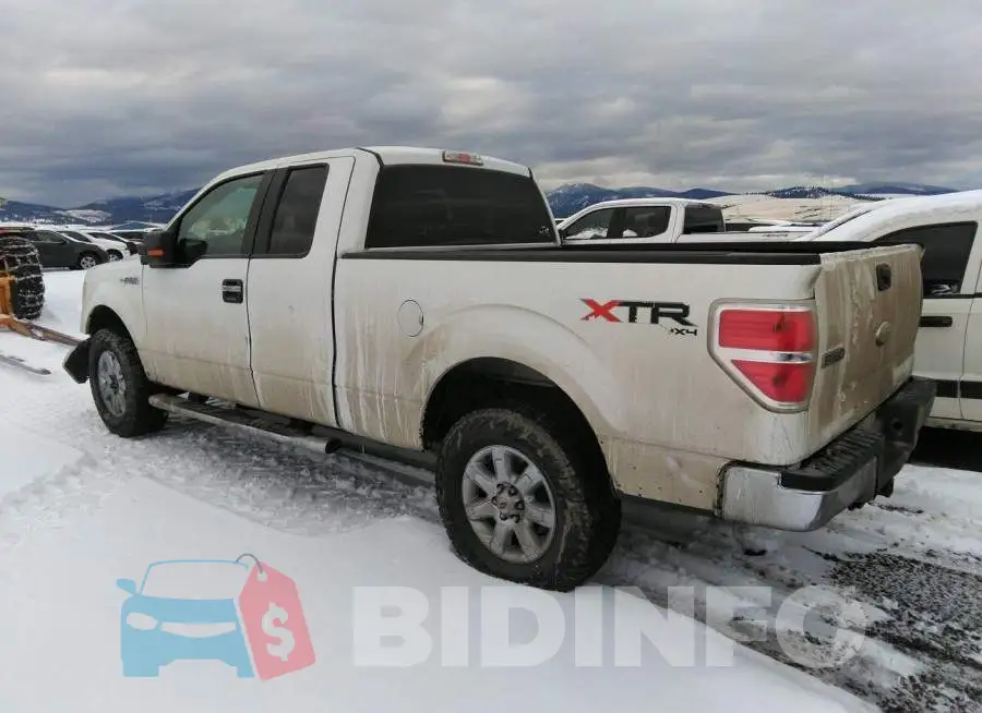 1FTFX1EF6DKD75409 Photo# 3