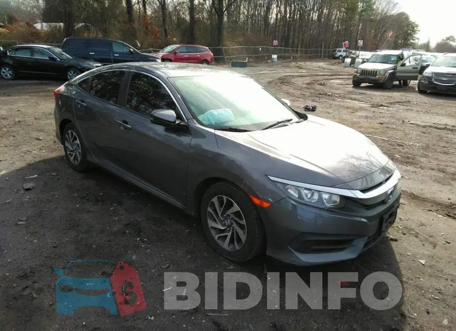 2HGFC2F71GH570257 Photo# 1