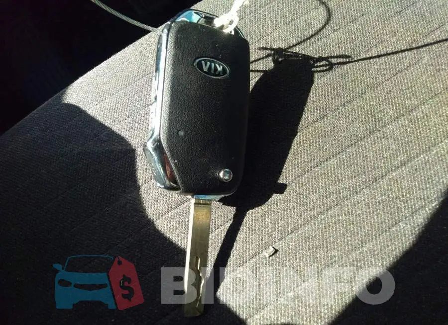 KNDEU2AA2M7118738 Photo# 11