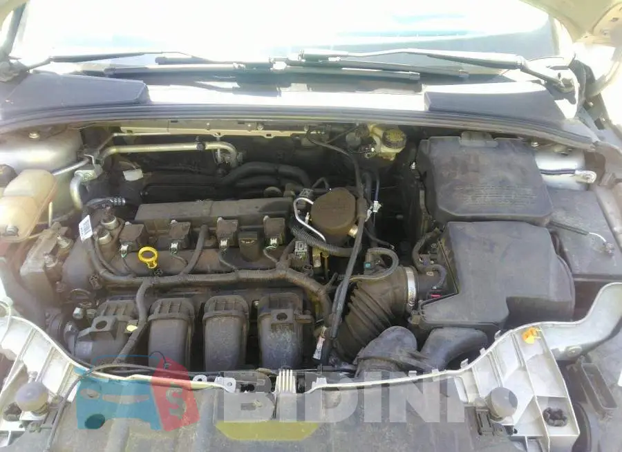 1FADP3F20FL243229 Photo# 10