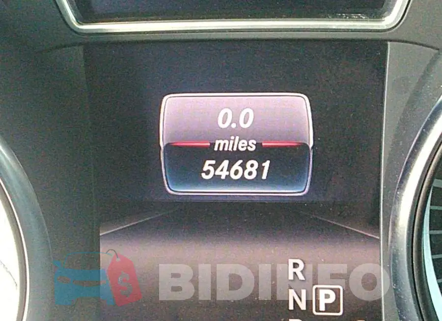WDDSJ4EB0GN303872 Photo# 7