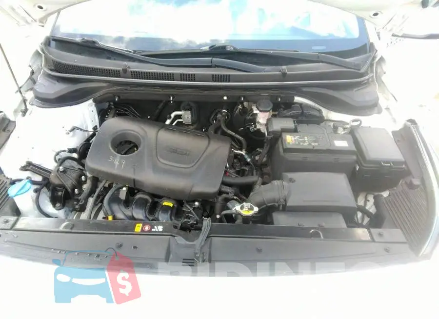 3KPC24A33KE086597 Photo# 10