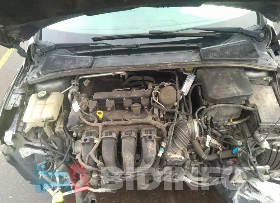 1FADP3F26DL213178 Photo# 10