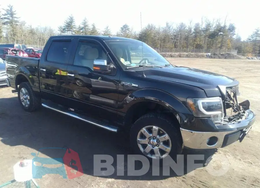 1FTEW1CM6DFD90114 Photo# 1