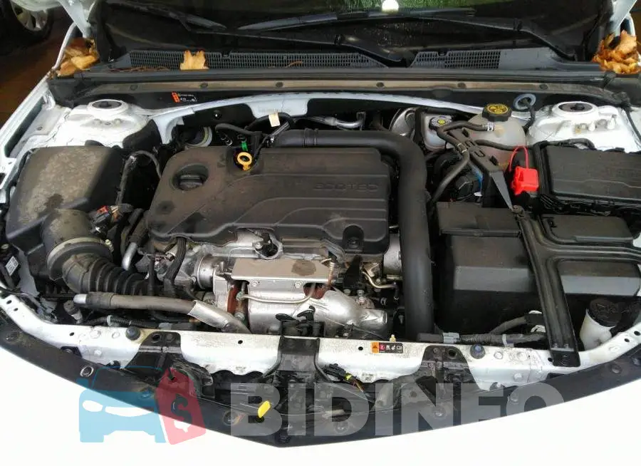 1G1ZB5ST3MF045225 Photo# 10