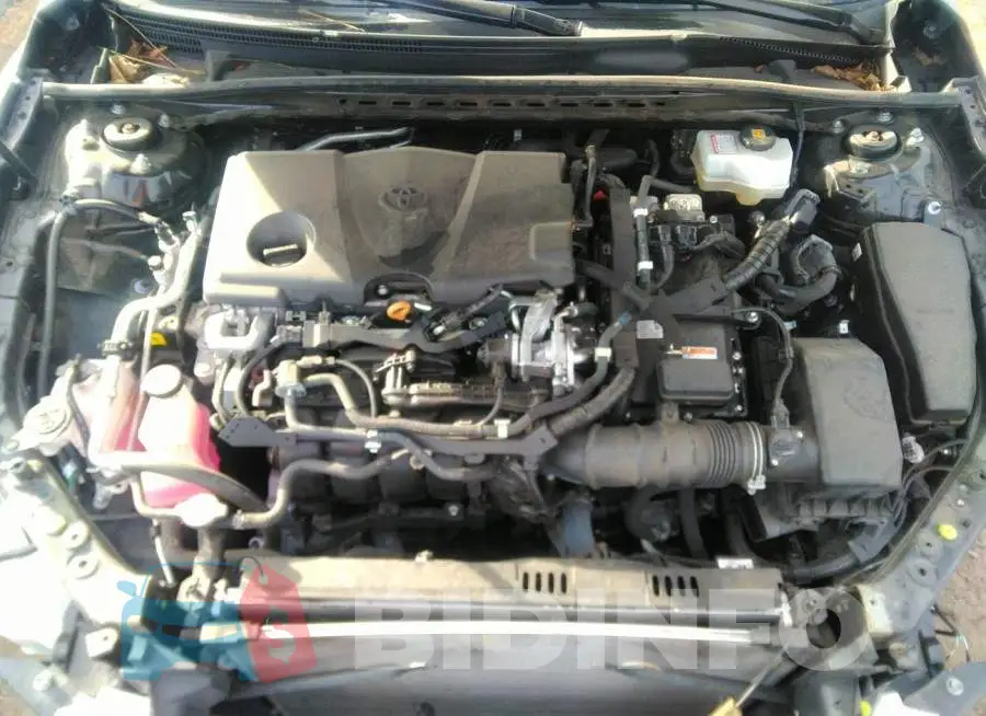 4T1C31AK8LU535709 Photo# 10