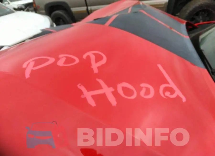 2C3CDZAG5GH201324 Photo# 10