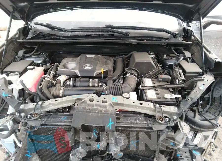 JTJDARDZ0M2256349 Photo# 10