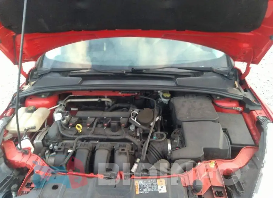 1FADP3F20FL204091 Photo# 10