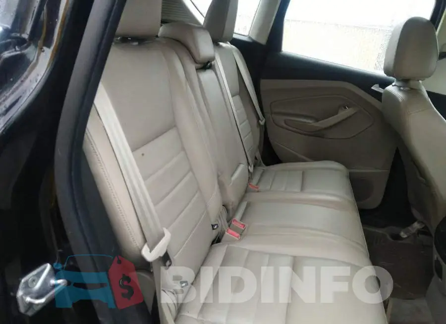 1FADP5CU5DL556081 Photo# 8
