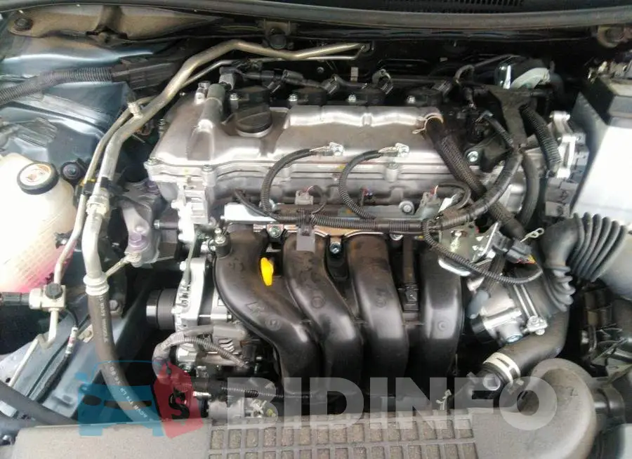 JTDEPMAE7N3006516 Photo# 10
