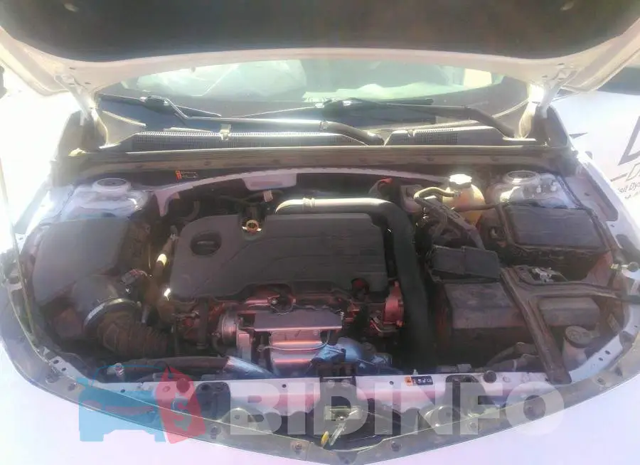 1G1ZB5ST5KF207448 Photo# 10