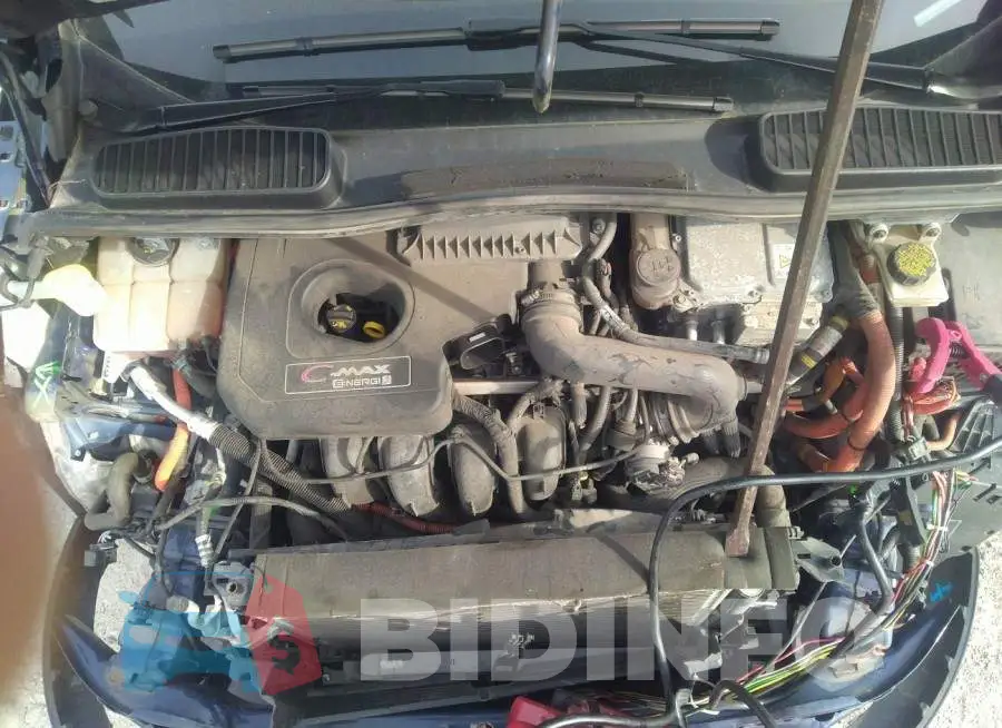 1FADP5CU0GL102776 Photo# 10