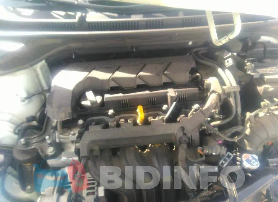 3KPC24A65NE155434 Photo# 10